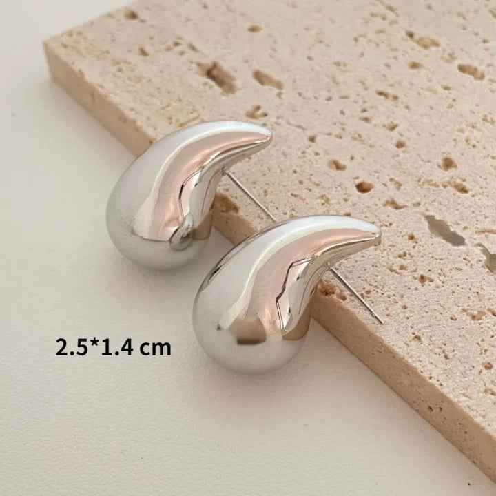 Silver Chunky Earrings