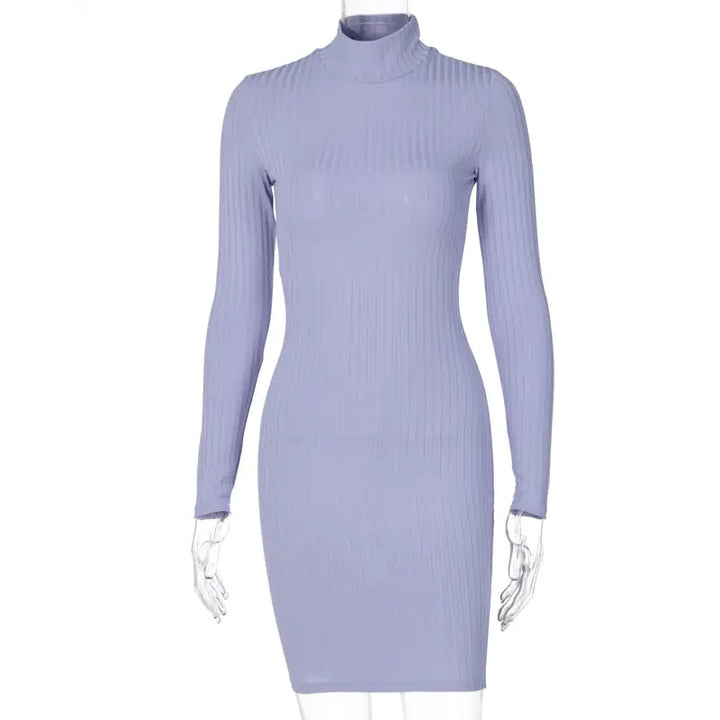 Victoria Ribbed Turtleneck Mini Dress - GlimmaStyle