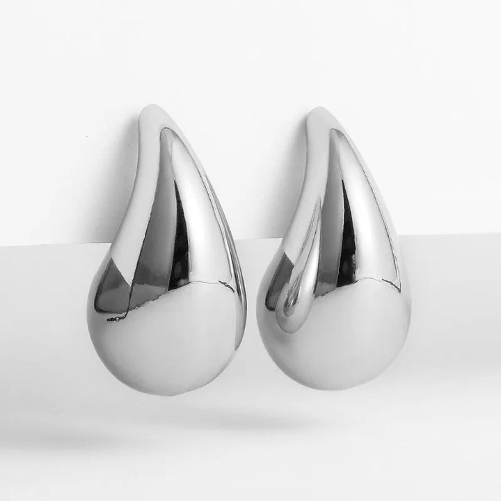 Silver Chunky Earrings