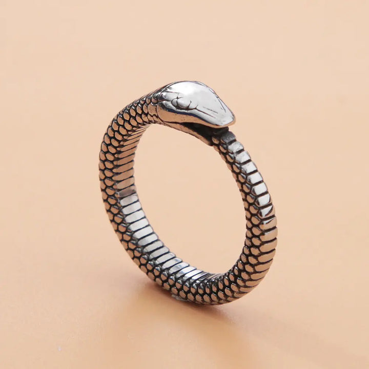 Retro Norse Mythology Men Ouroboros Ring - GlimmaStyle