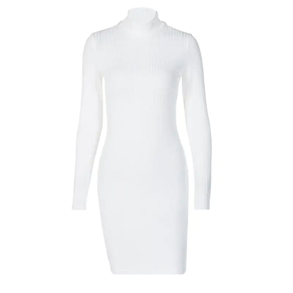 Victoria Ribbed Turtleneck Mini Dress - GlimmaStyle